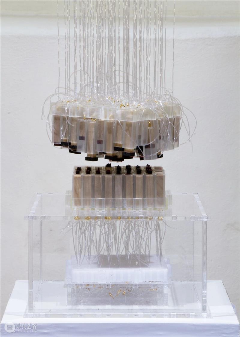 新展预告|边缘阶段:感知、存在和技术意识的探索 山中天艺术中心 崇真艺客
